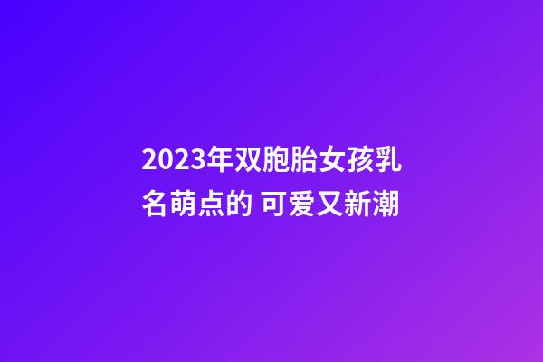 2023年双胞胎女孩乳名萌点的 可爱又新潮